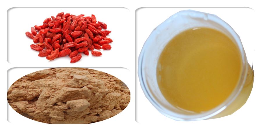 Goji berry powder solubility