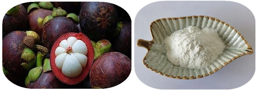 Mangosteen Juice Powder Mangosteen Juice Powder