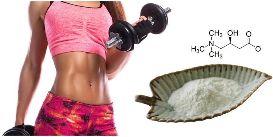 L-Carnitine 99%, L-Carnitine Powder