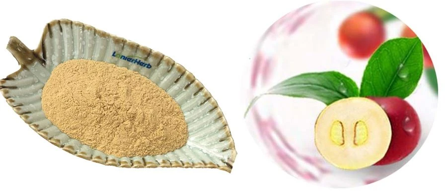 Camu Camu Powder