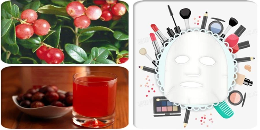 Camu Camu Powder Application