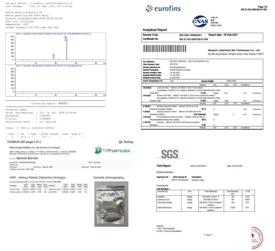 Test Report 3