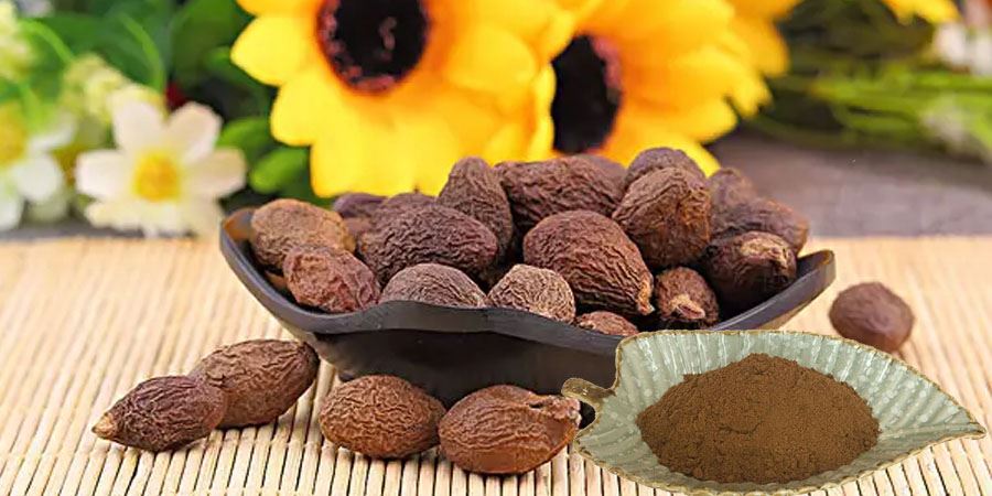 Sterculia Seed Extract Powder