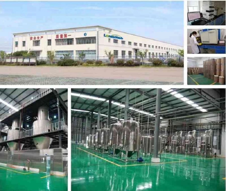 Factory Factory