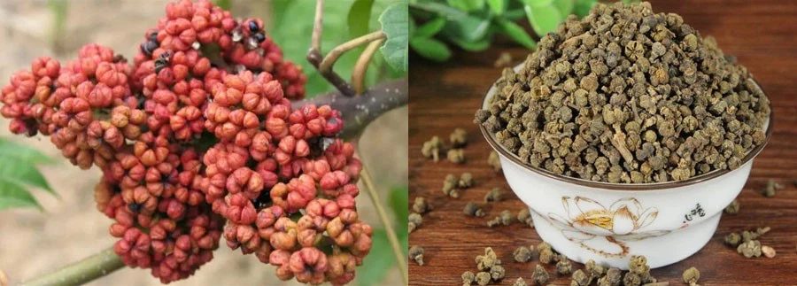 Evodia Rutaecarpa Fruit Extract Evodia Rutaecarpa Fruit Extract