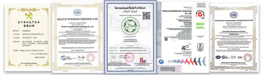 Certificate-2