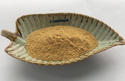 Sapindus Mukorossi Fruit Extract