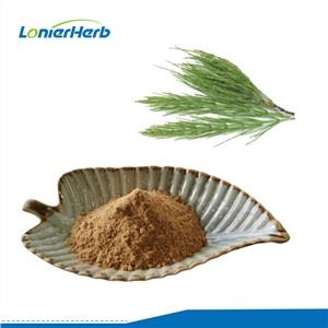 Horsetail útdráttarduft