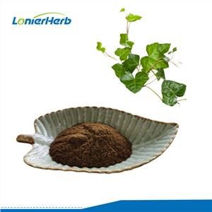 Ivy þykkni