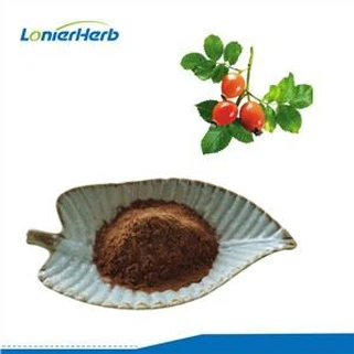 Rosehip útdráttarduft