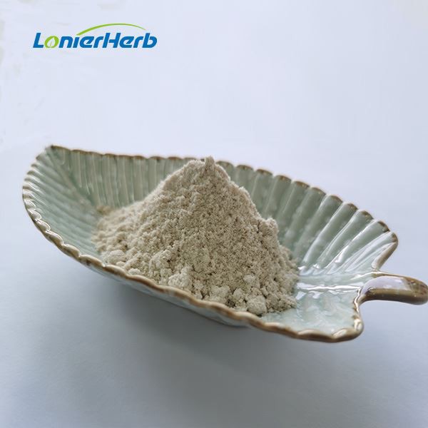 Jerusalem Artichoke Extract