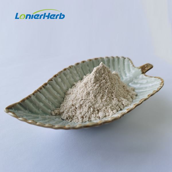 Jerusalem Artichoke Extract