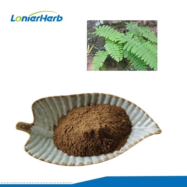 Polypodium Leucotomos útdráttur
