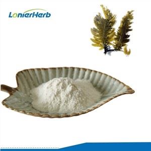 Fucoidan útdráttarduft