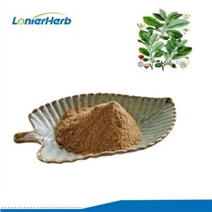 Yerba Mate þykkni