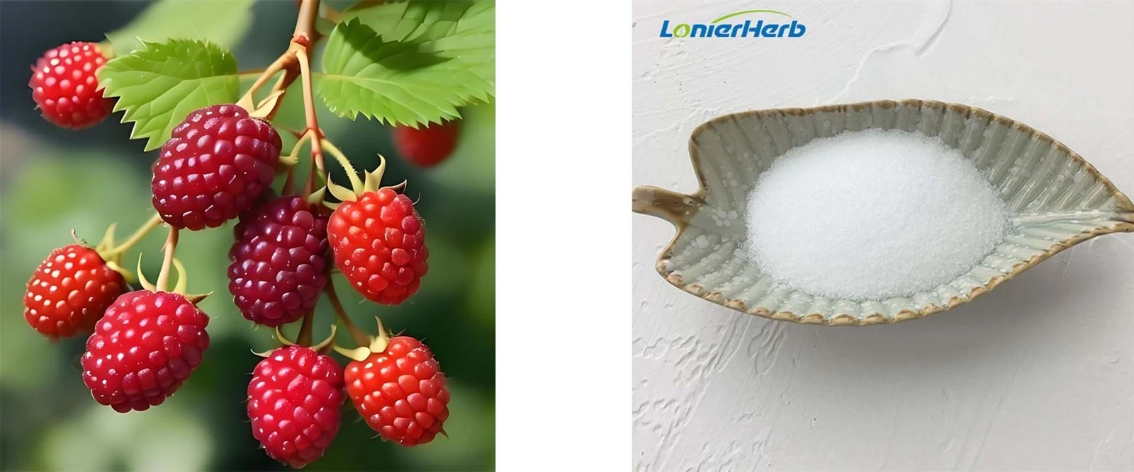 Pure Raspberry Ketone Powder Pure Raspberry Ketone Powder