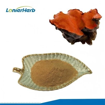 Antrodia Cinnamomea þykkni